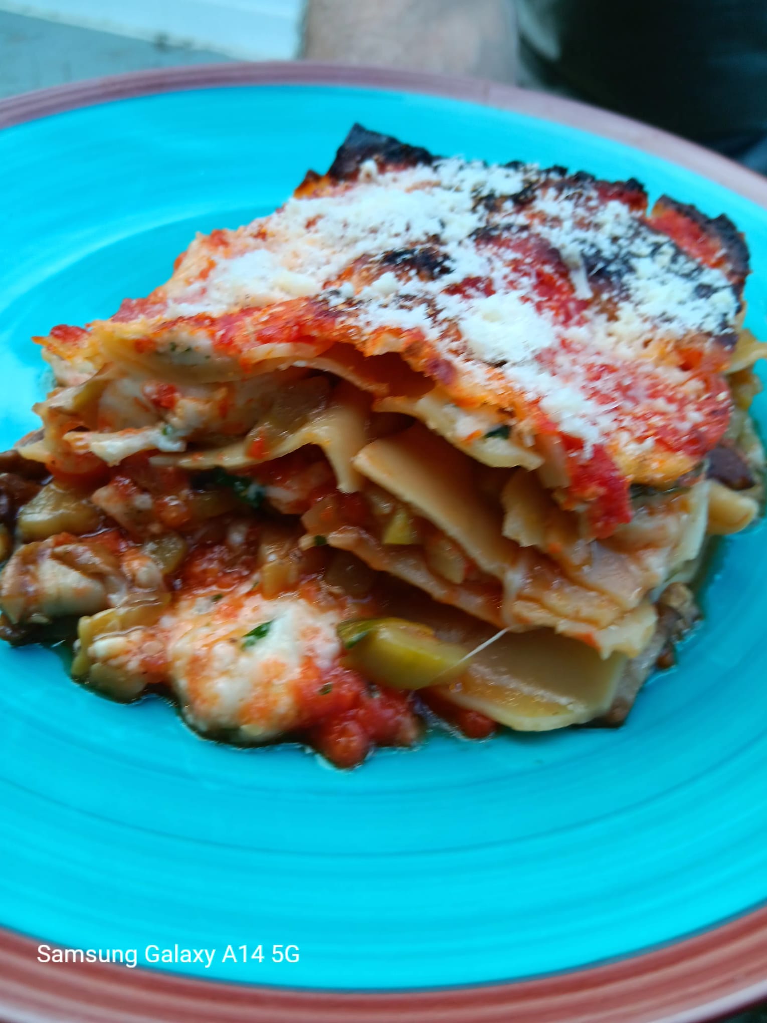 Lasagne Porcini